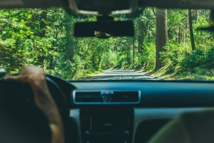 Driving through forest — 緑の中を走る車の視点。人生の方向性や決断を象徴する夢のイメージ。