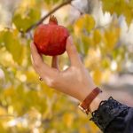 夢占い 数字9の意味｜成熟した果実が象徴する達成と総括