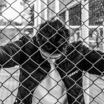 フェンスに手をかけ、うなだれる人物のモノクロ写真。誤解や不当な非難、身に覚えのない罪を背負う苦しみを象徴する夢のイメージ。 A black and white image of a person leaning on a fence with their head down, symbolizing false accusation, isolation, and the pain of being misunderstood.