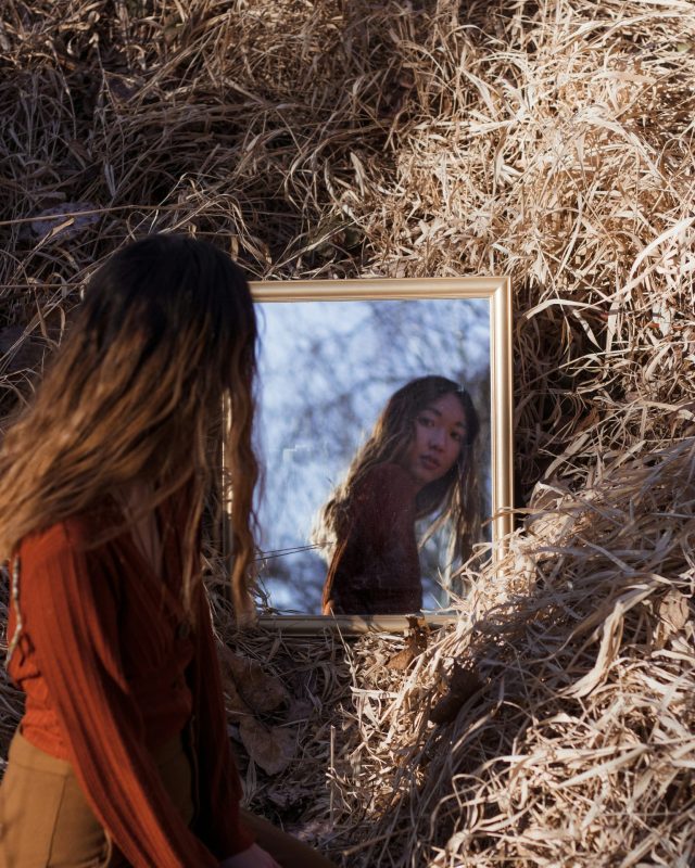 草原の中で鏡に映る自分を見つめる女性。夢に出てくる自分や分身が無意識の感情を象徴している