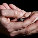 手のひらの上で弱った小鳥をそっと守る様子