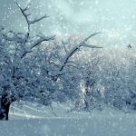 雪に覆われた森の風景。雪女の夢が象徴する内面の静けさと迷い