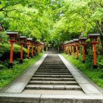 七福神の夢を象徴する神社の参道と石段