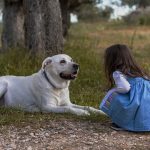 草の上で少女が犬と向き合って話している様子。 穏やかな表情が、心と心の通い合いを感じさせる。