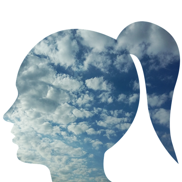 夢や無意識の世界を象徴する、雲が広がる女性の横顔シルエットの画像。夢を解釈するか迷う心の動きと内面世界を表現