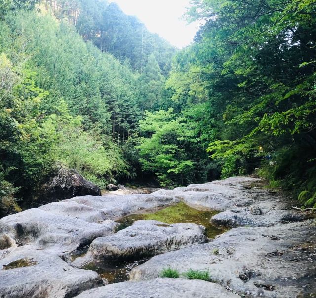 川沿いの岩の凹凸が厳しい道