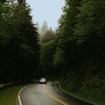 カーブした森の道路を走る車｜逆走する夢の心理イメージ