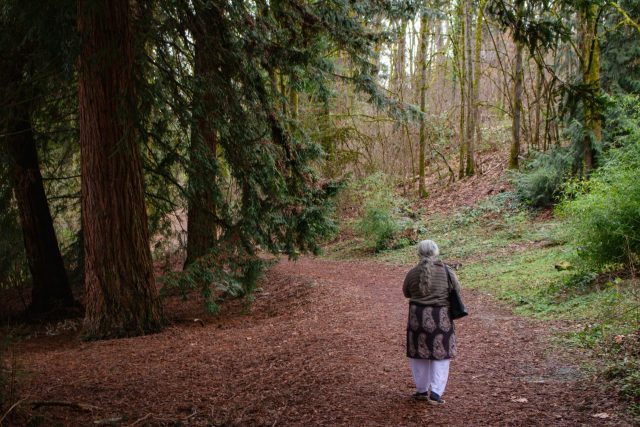 森の道を歩くおばあさんの後ろ姿
