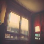 やわらかな光が差し込む部屋の窓辺