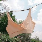 枝にかけられた淡い色の下着。見せたくない本音や内側の感情が外に出る夢の象徴。