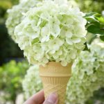 花をアイスのように持つ手元。不思議な食べ物が出てくる夢のイメージ