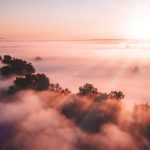 夢から覚める朝・意識に光が差すような朝霧の風景